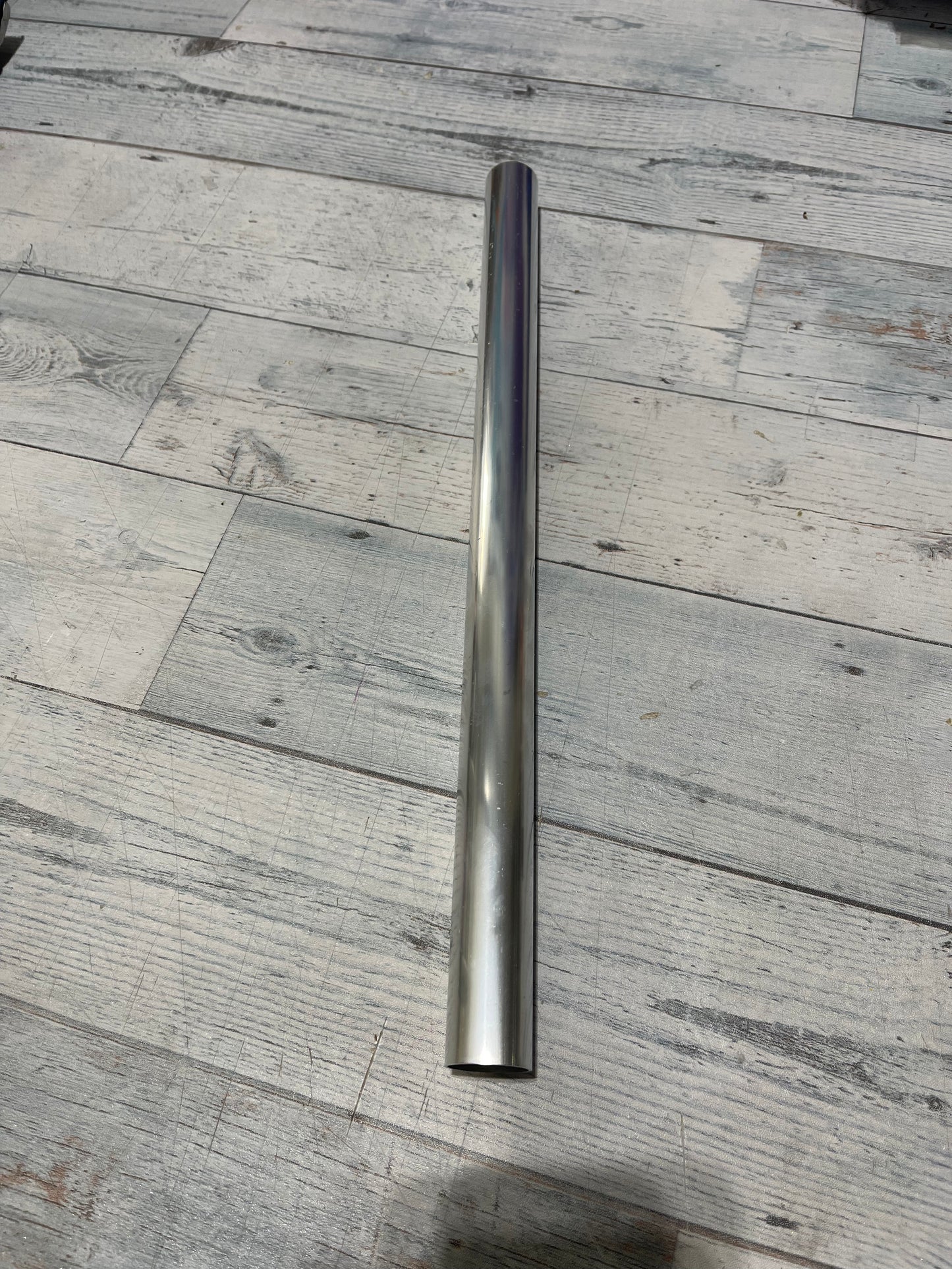 “The Kelly” otherwise known as T-Rex